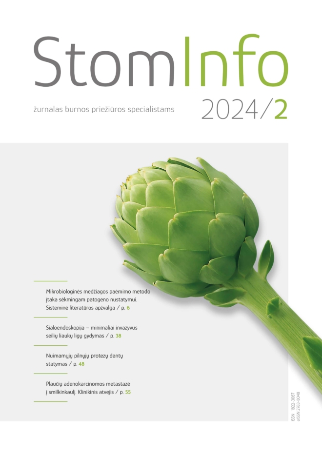 Stominfo, 2024 - Image 3