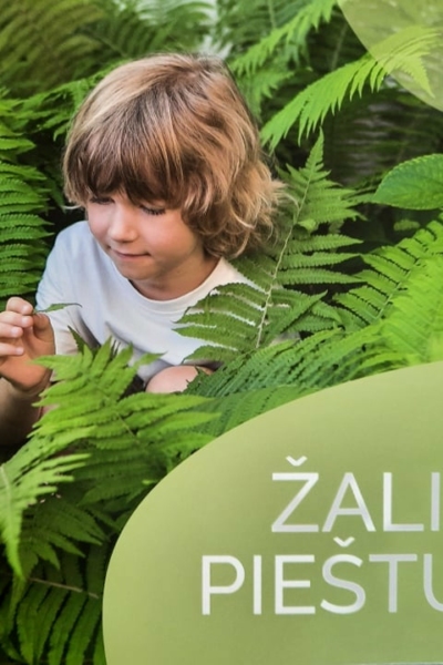 Žaliasis pieštukas